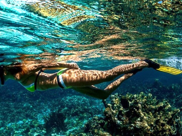 Caraibi: le migliori isole per lo snorkeling!