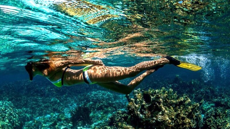 Caraibi: le migliori isole per lo snorkeling!