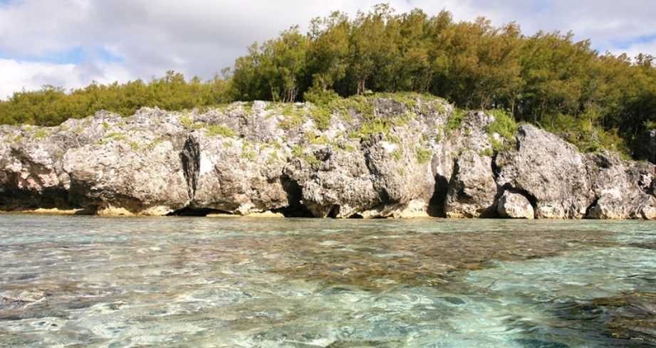 Isole Cook