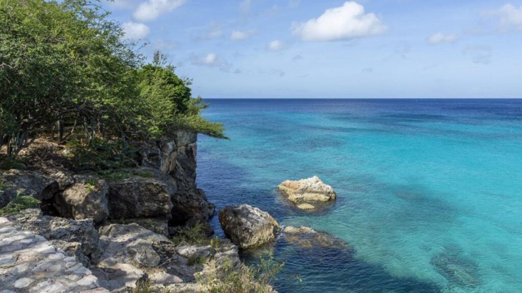 Caraibi