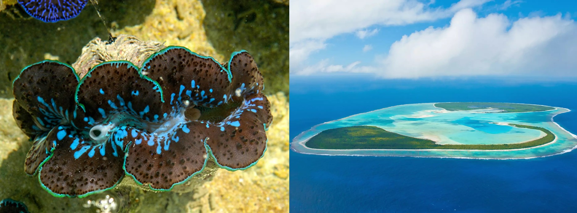 Isole Cook: un paradiso lontano, impossibile da dimenticare!