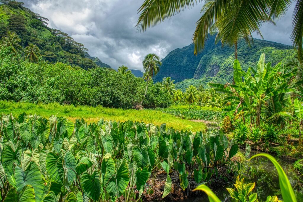 Le Isole di Tahiti
