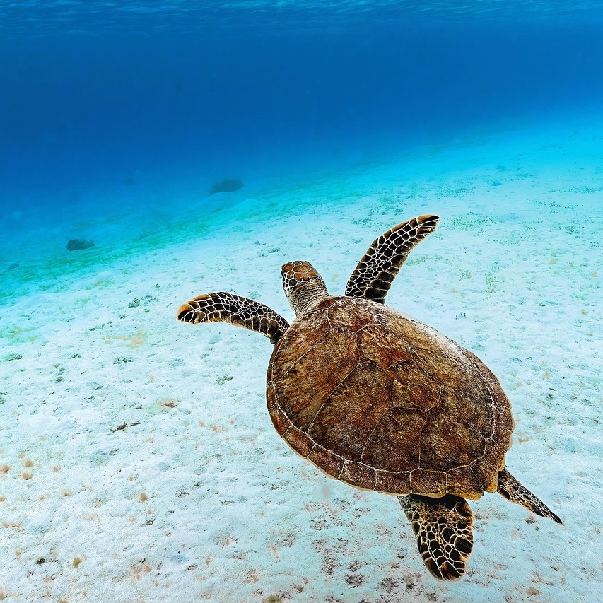 Seychelles