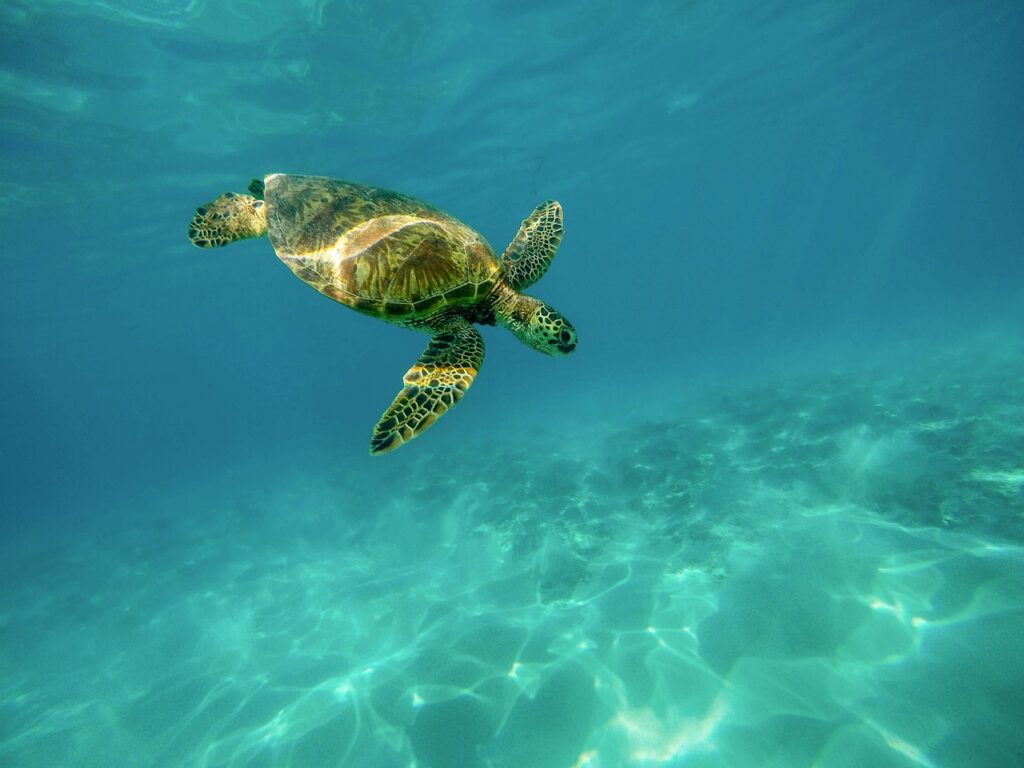 Seychelles