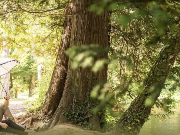 Irlanda: 9 luoghi da sogno per le proposte di matrimonio