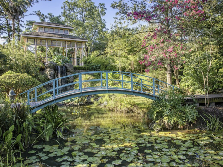 Louisiana in Primavera: i Giardini Botanici più Belli del Sud degli Stati Uniti