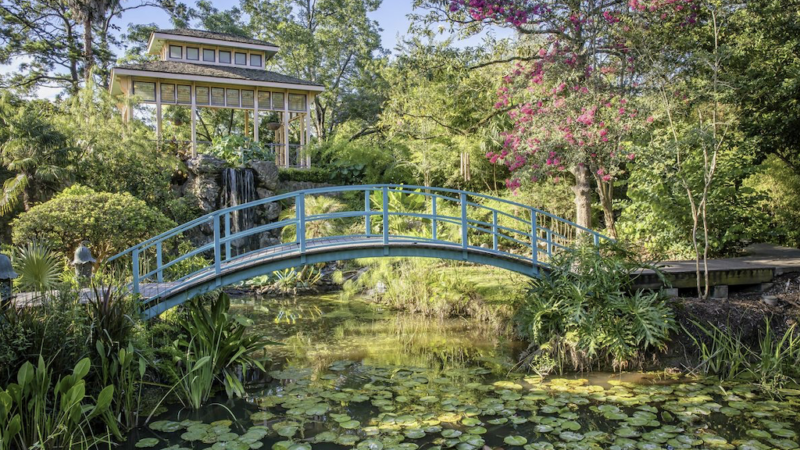 Louisiana in Primavera: i Giardini Botanici più Belli del Sud degli Stati Uniti