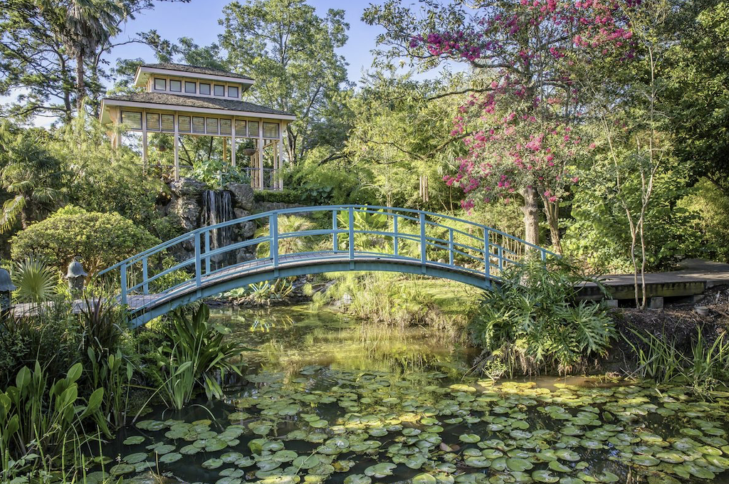 Louisiana in Primavera: i Giardini Botanici più Belli del Sud degli Stati Uniti