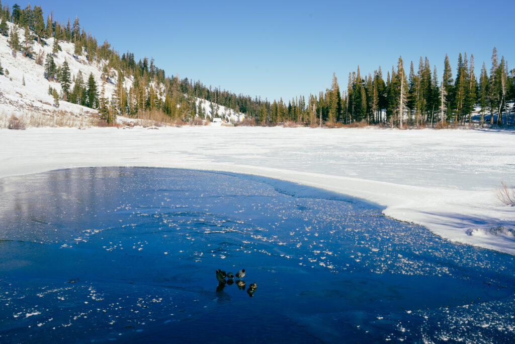 Mammoth Lakes