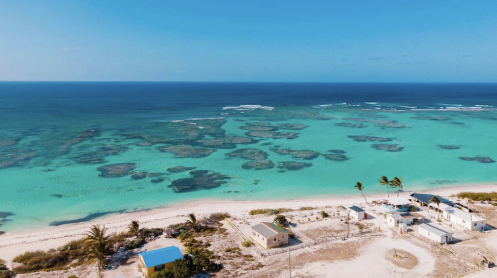 Caraibi