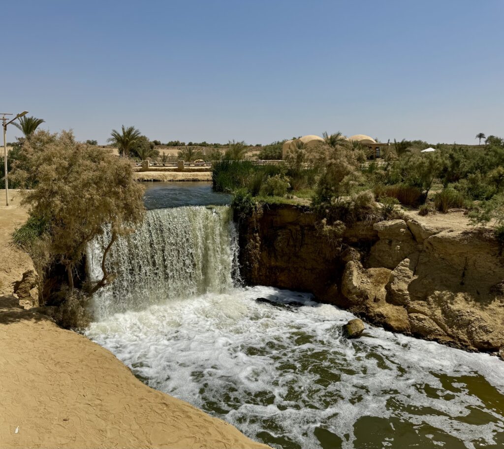 El Fayoum - Foto A. Fiorillo