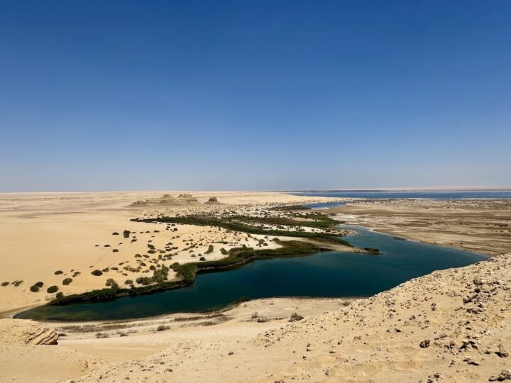El Fayoum, Egitto: l’Oasi dove il deserto incontra il silenzio