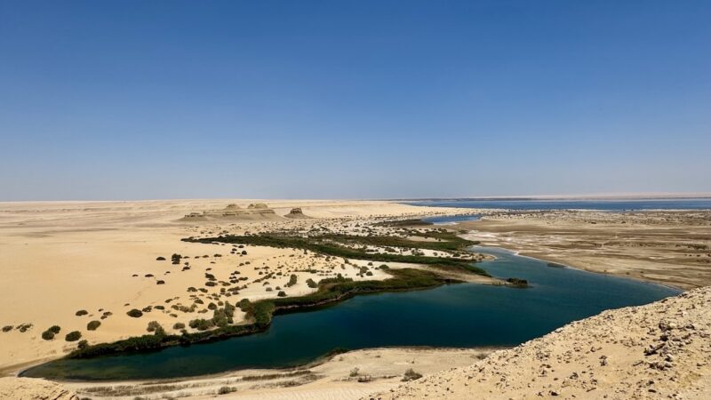 El Fayoum, Egitto: l’Oasi dove il deserto incontra il silenzio