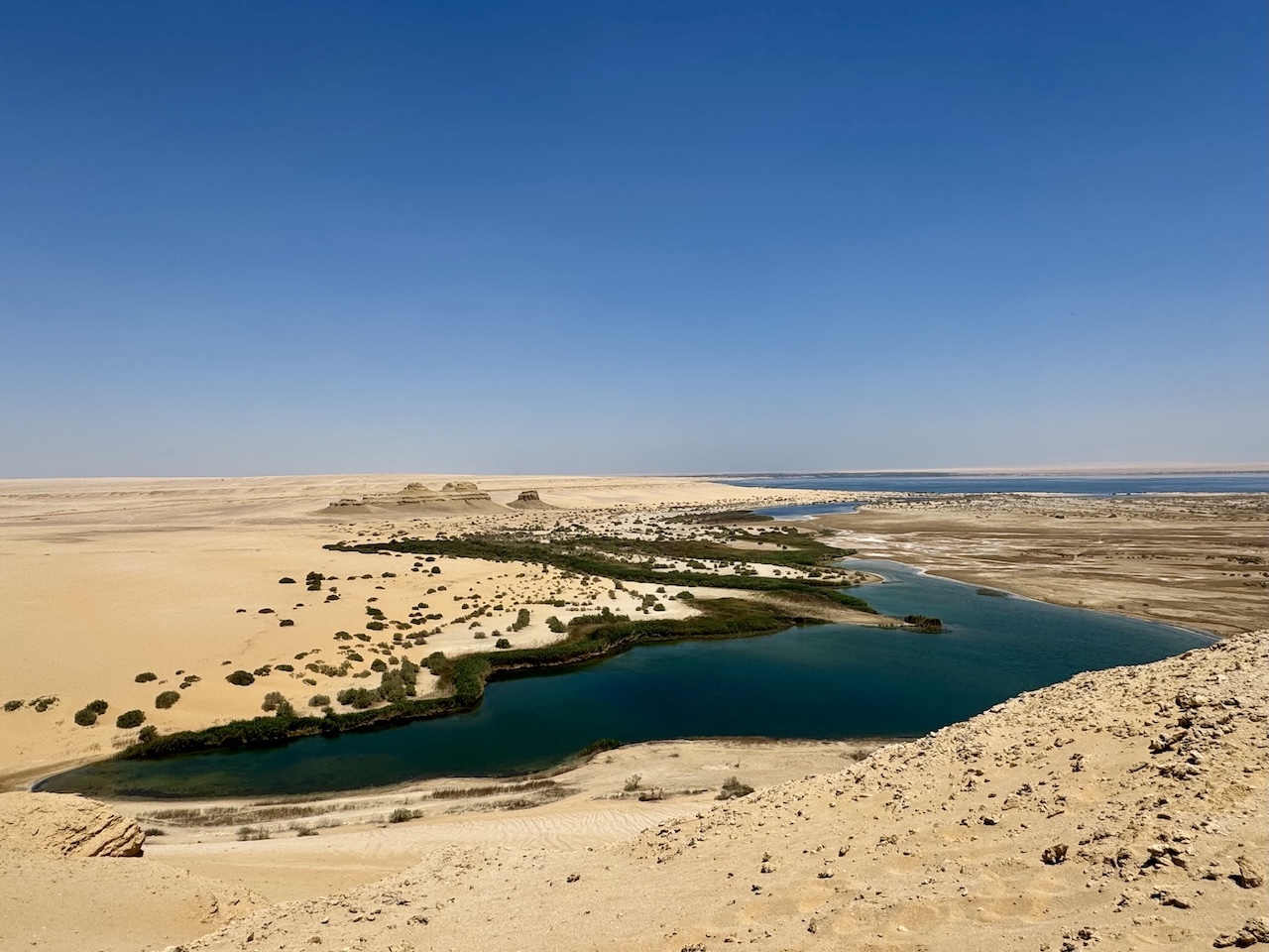 El Fayoum, Egitto: l’Oasi dove il deserto incontra il silenzio