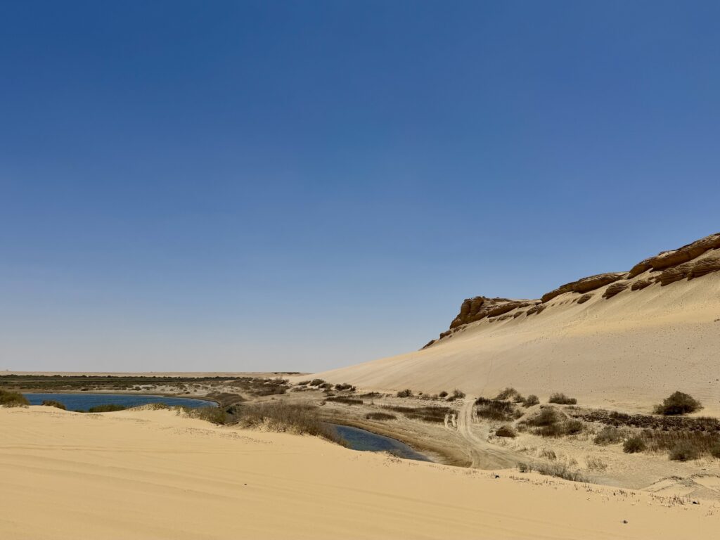 El Fayoum - Foto A. Fiorillo