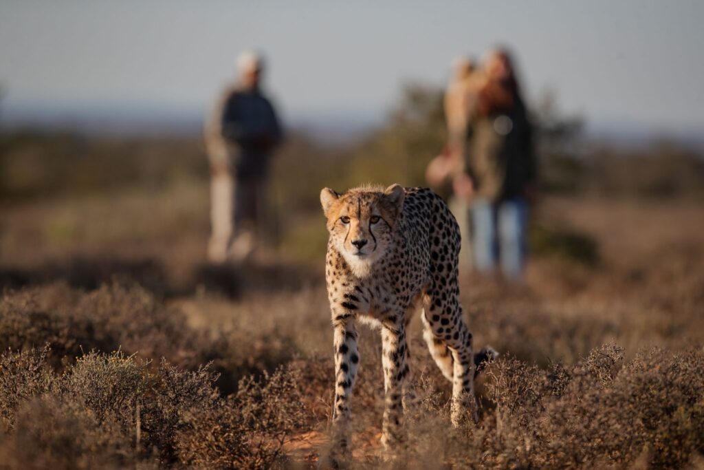 Sudafrica
