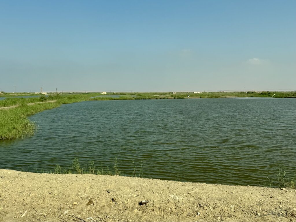 El Fayoum - Foto A. Fiorillo