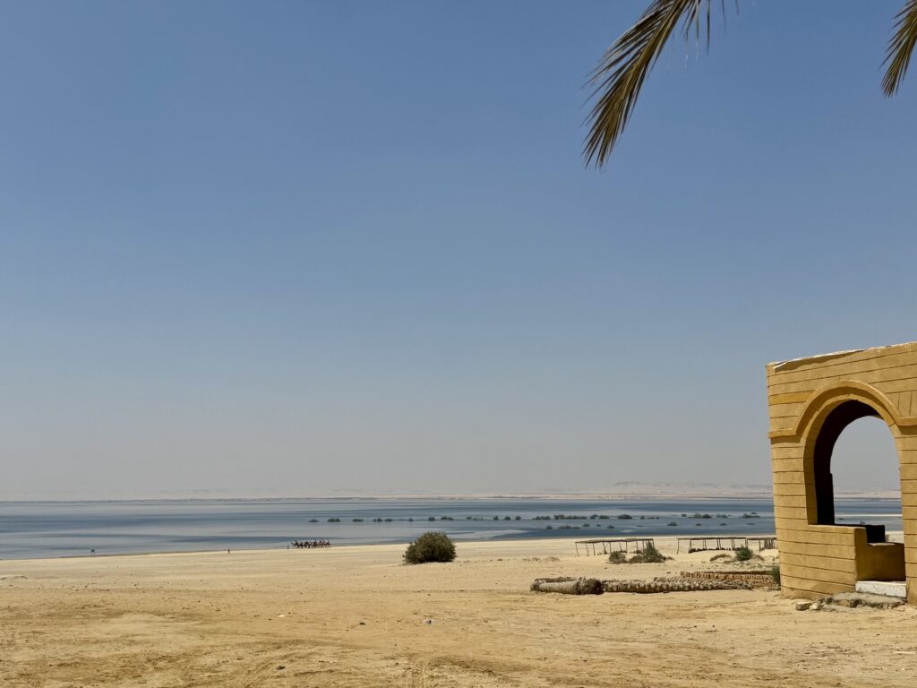 El Fayoum - Foto A. Fiorillo
