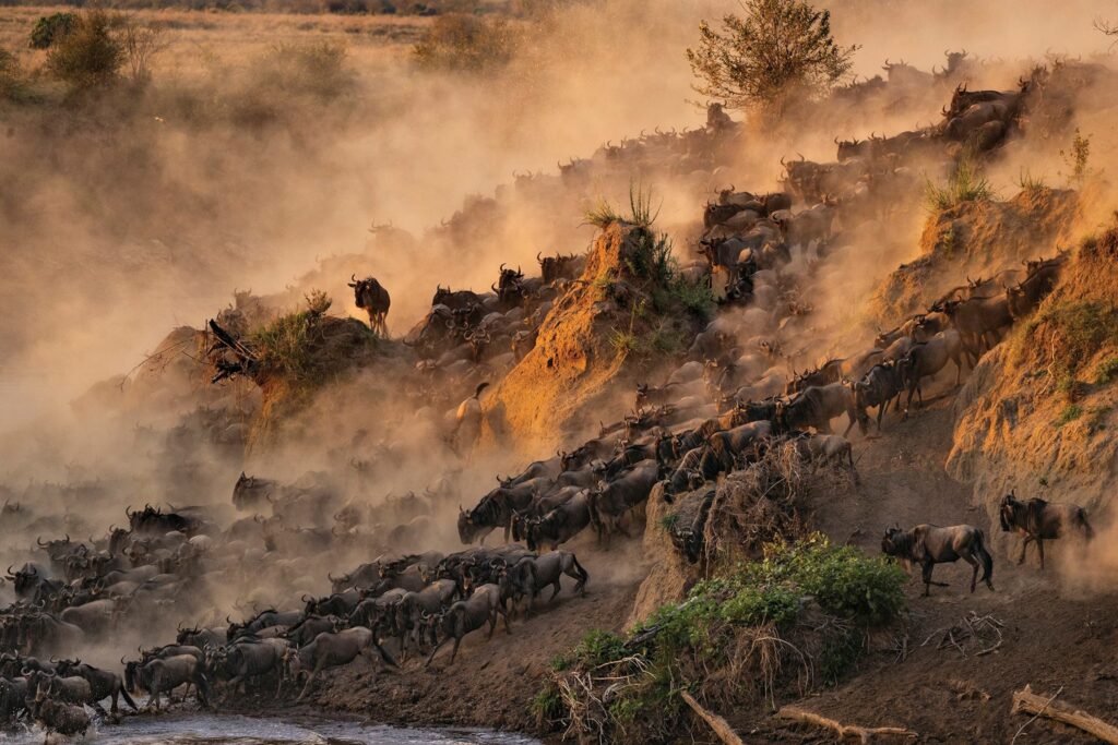 Serengeti