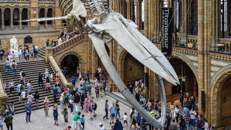 Londra e i suoi Musei: 8 Tappe Straordinarie tra Scienza, Arte e Segreti