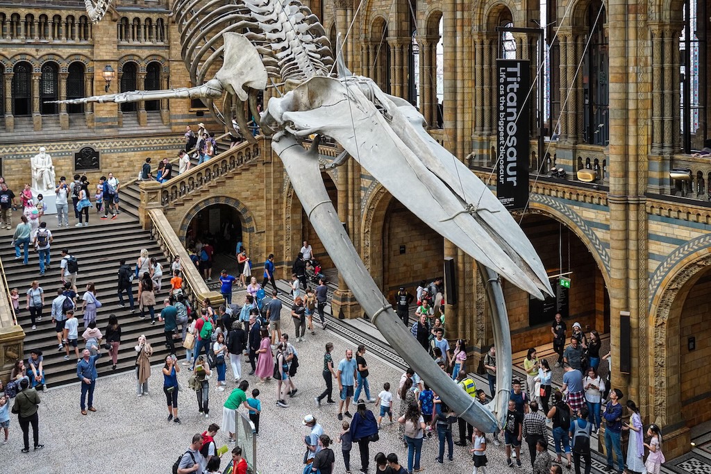 Londra e i suoi Musei: 8 Tappe Straordinarie tra Scienza, Arte e Segreti