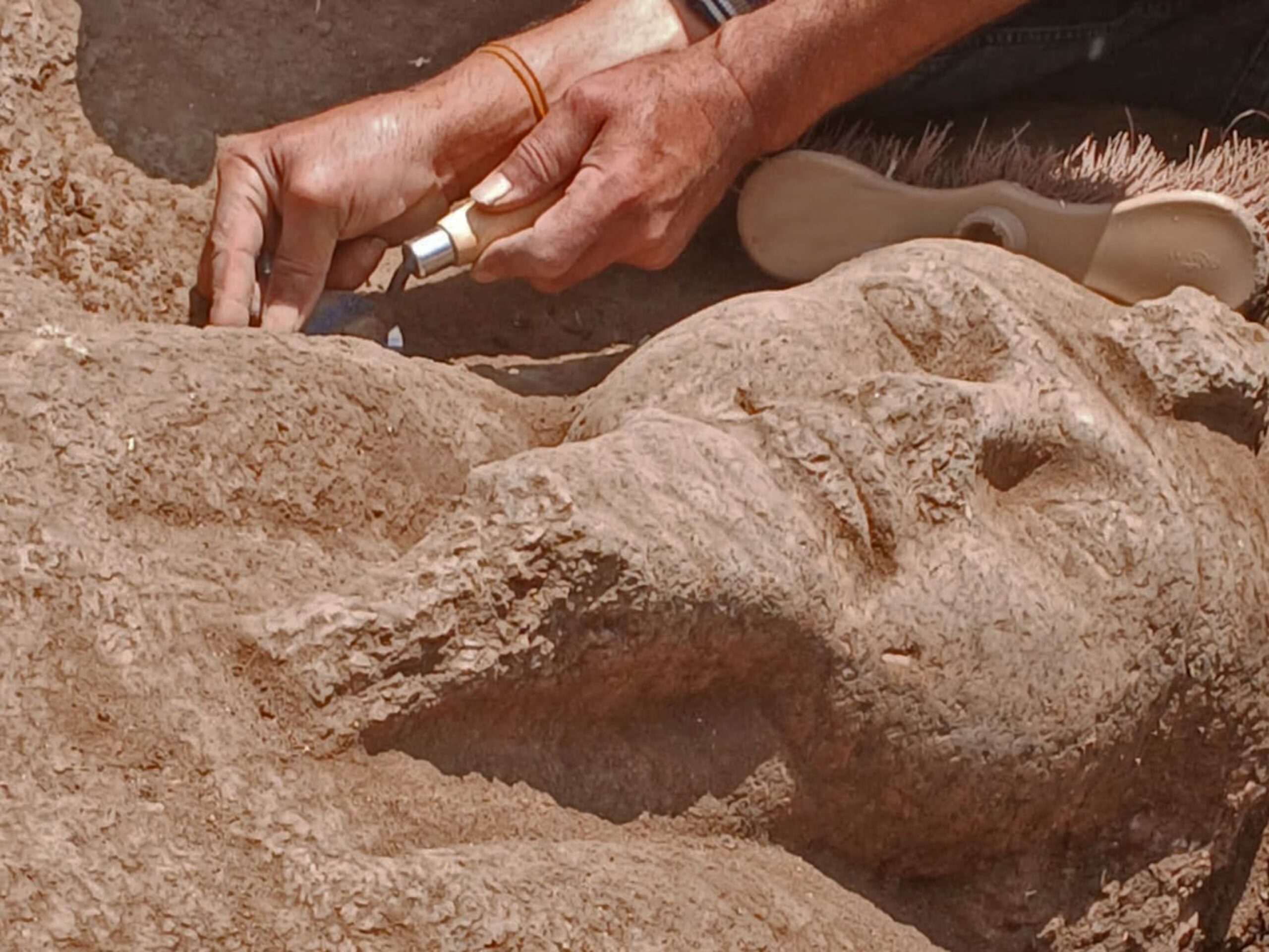Egitto: ritrovata la colossale statua di Ramses II eretta a 800 km dalla sua origine