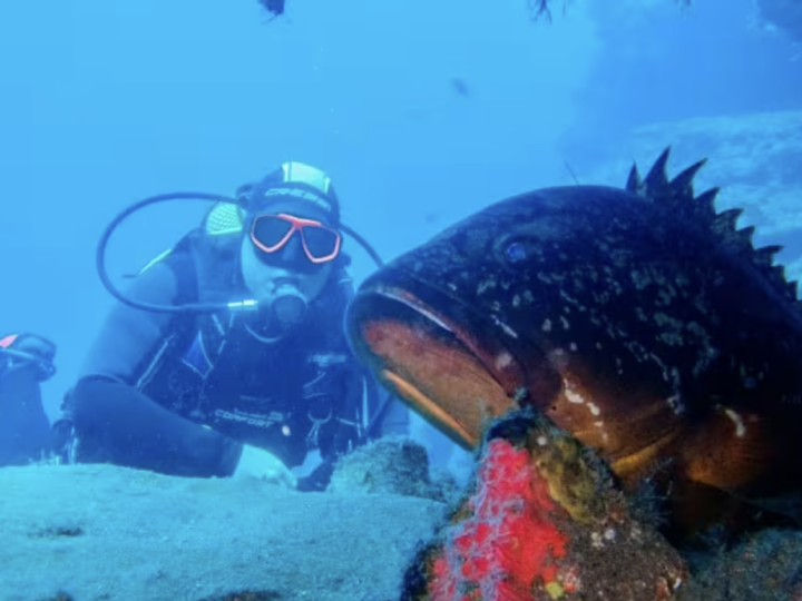 Spagna: i paradisi sottomarini per fare immersioni sostenibili