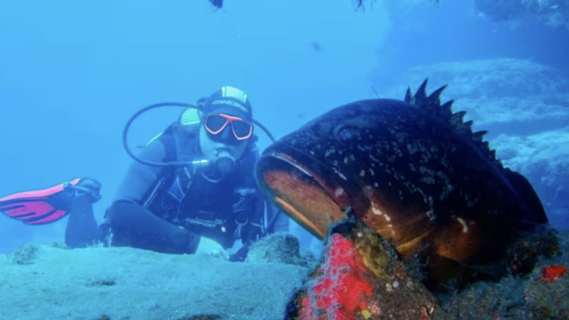Spagna: i paradisi sottomarini per fare immersioni sostenibili