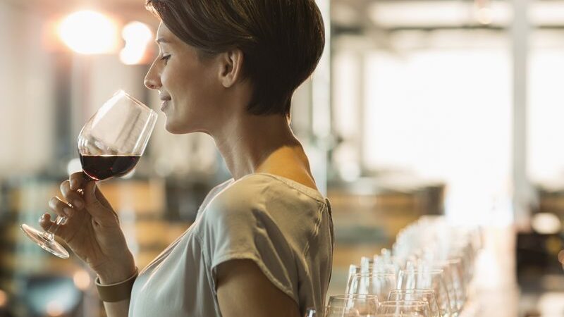 Repubblica Ceca: tra feste della vendemmia ed eccellenze dell’architettura del vino