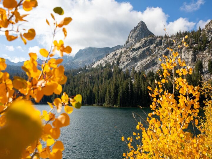 Mammoth Lakes: tutte le novità e gli eventi per la stagione autunno-inverno