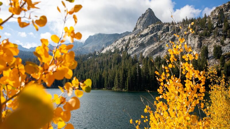 Mammoth Lakes: tutte le novità e gli eventi per la stagione autunno-inverno