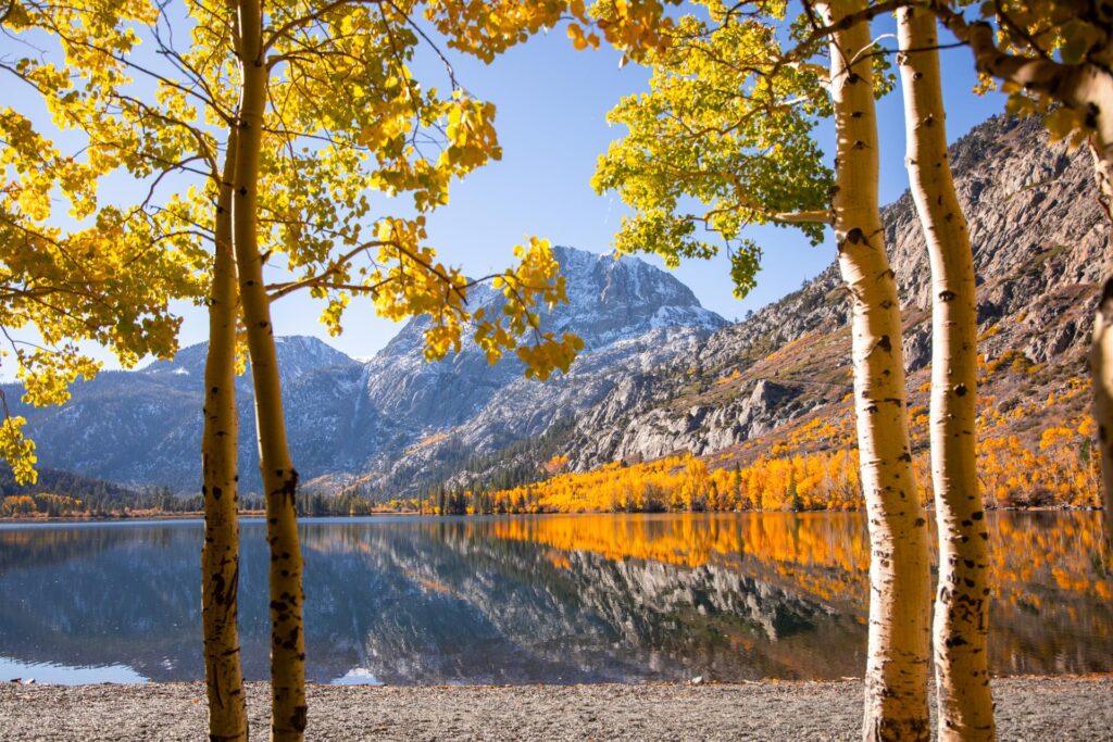 Mammoth Lakes