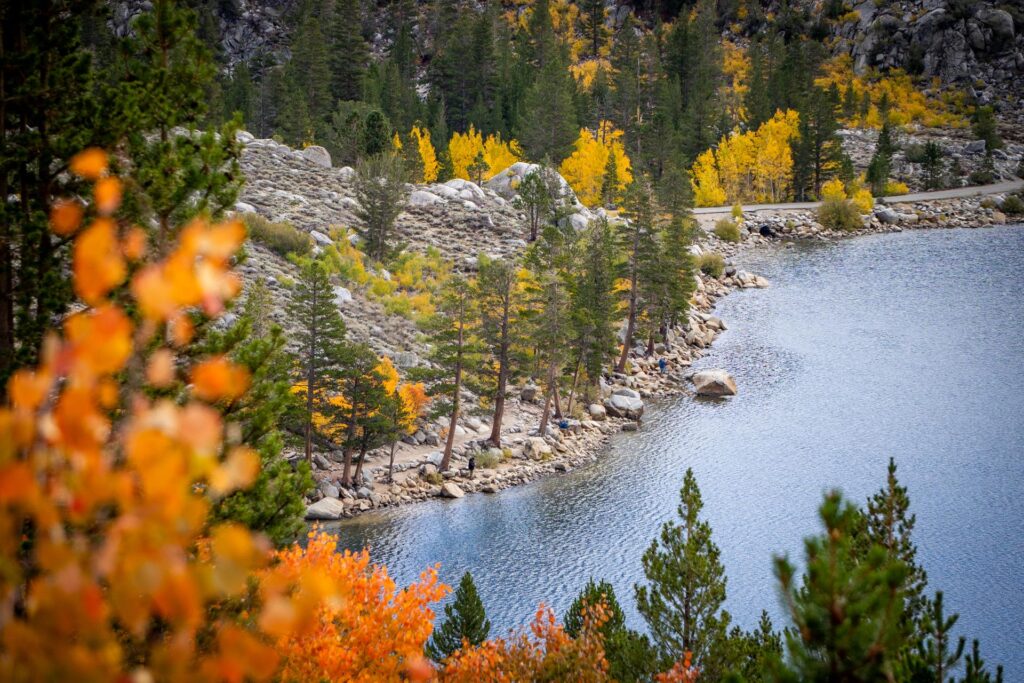 Mammoth Lakes